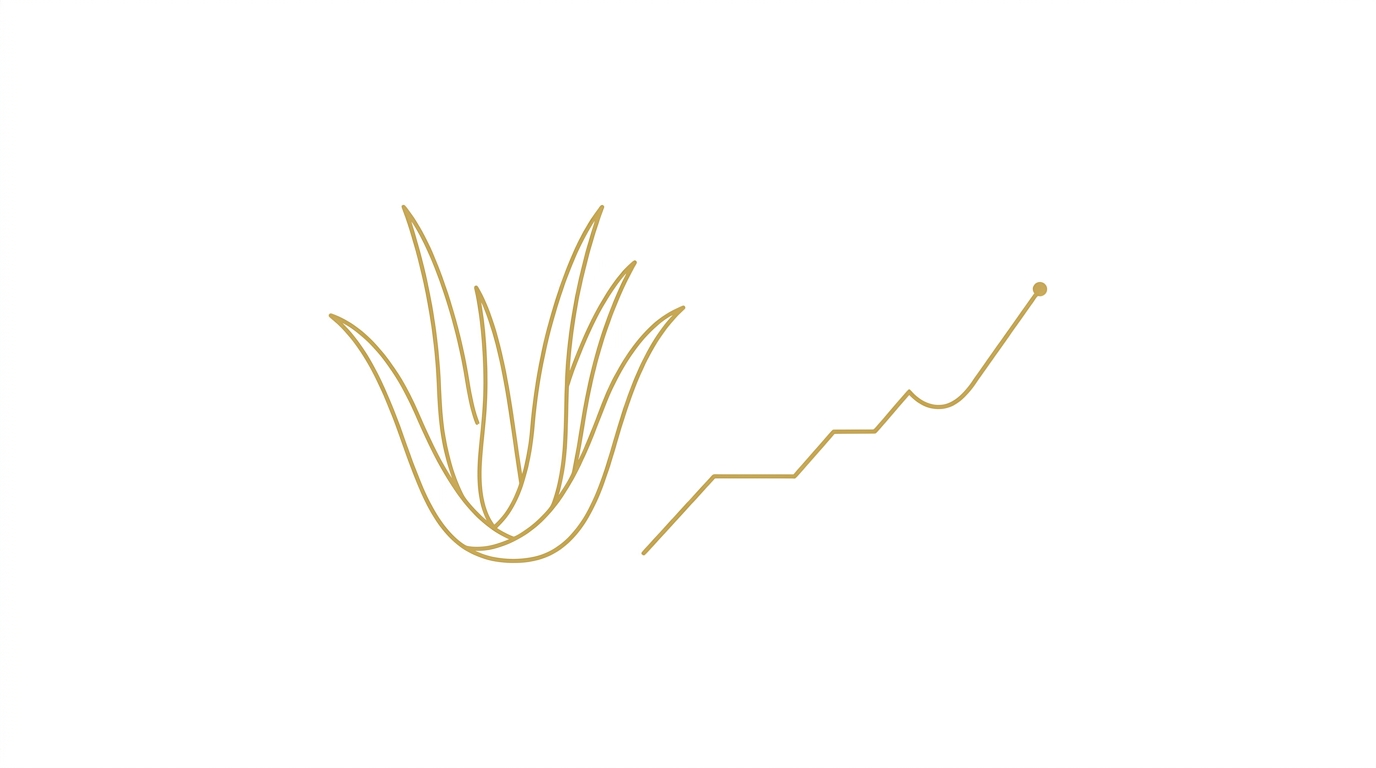 LR Health and Beauty